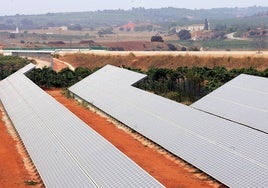 Paneles fotovoltaicos entre viñedos en la comarca Utiel-Requena en una foto de archivo.