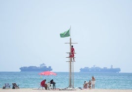 Un arenal de la Comunitat con bandera verde.