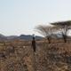 Imagen principal - Lodwar-Lobur: bienvenidas a la sabana