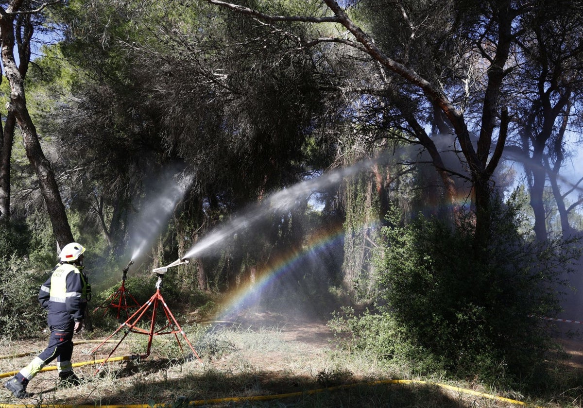 Las altas temperaturas obligan a encender los cañones del Saler