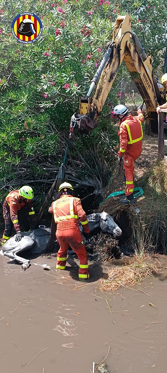 Rescatan a un menor tras caer con su caballo a la marjal de Xeresa