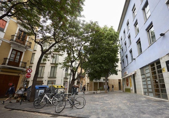 Afluencia de pisos turísticos en el barrio del Carmen de Valencia.