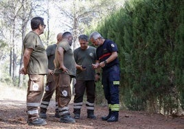 Bomberos y vigilantes forestales en una imagen de archivo