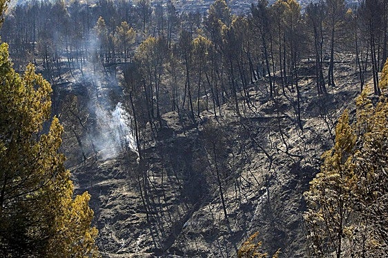 Estabilizado el incendio forestal de Benasau