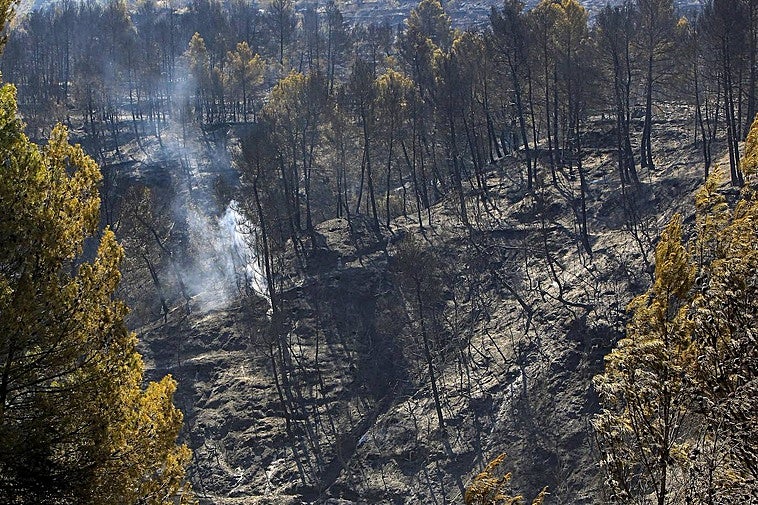 Estabilizado el incendio forestal de Benasau