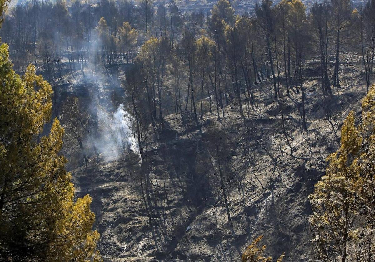 Estabilizado el incendio forestal de Benasau 