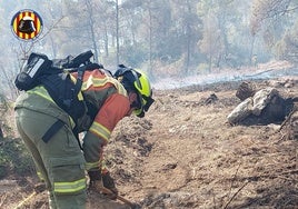 Brigadas forestales trabajando en el incendio forestal de Enguera.