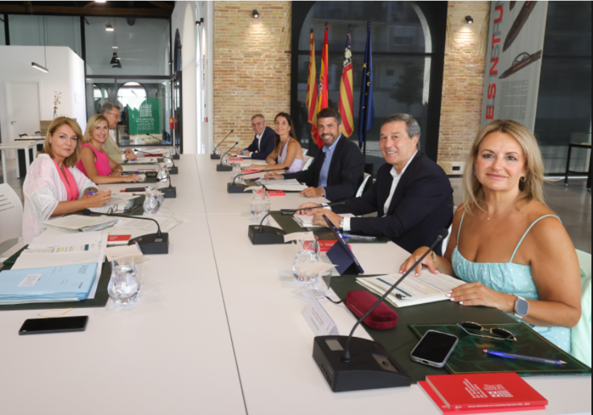 El pleno del Consell, celebrado este viernes en Ontinyent.