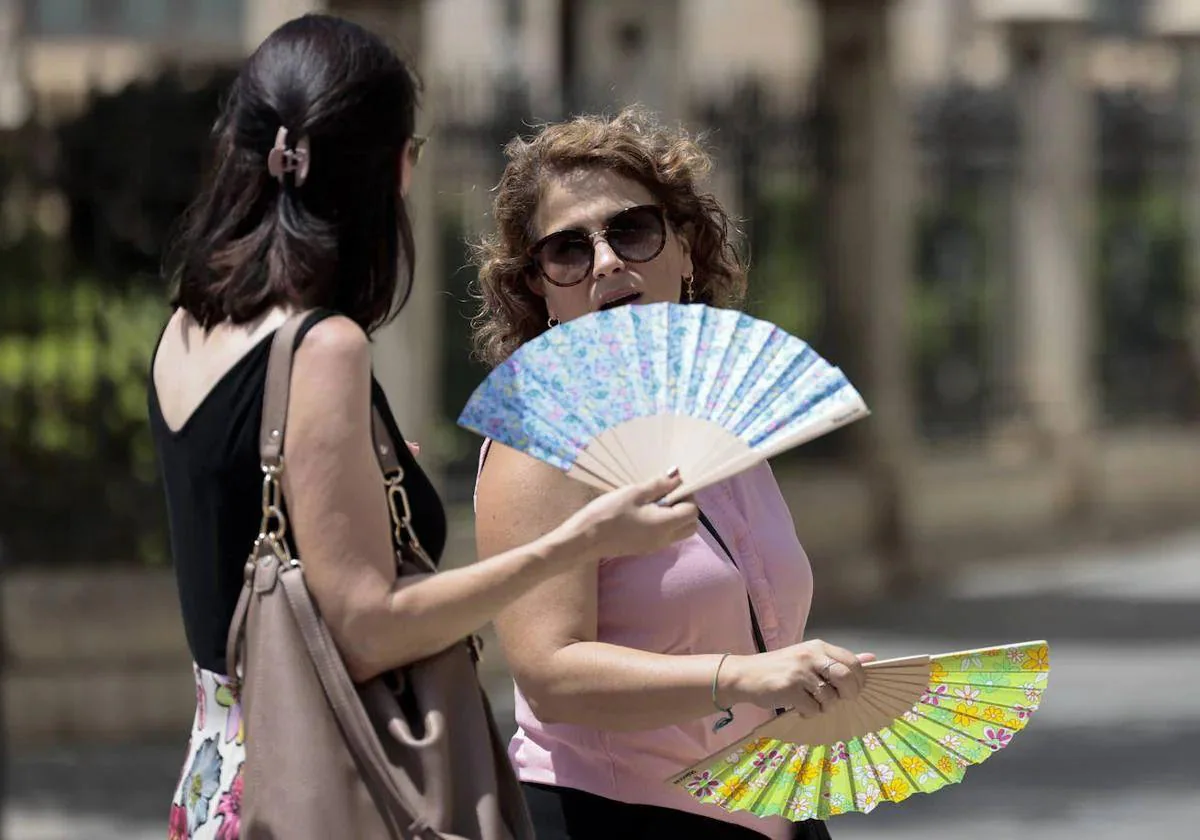 Toda la Comunitat pasará este sábado una noche tropical 