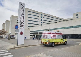 Los heridos han sido trasladados al hospital La Fe de Valencia.