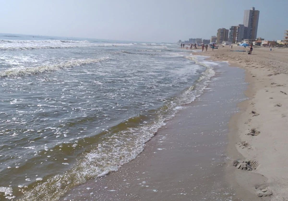 Pulso agrícola en El Perellonet por el agua verde de la playa: «La campaña del arroz no va a depender del veraneo de algunos» 