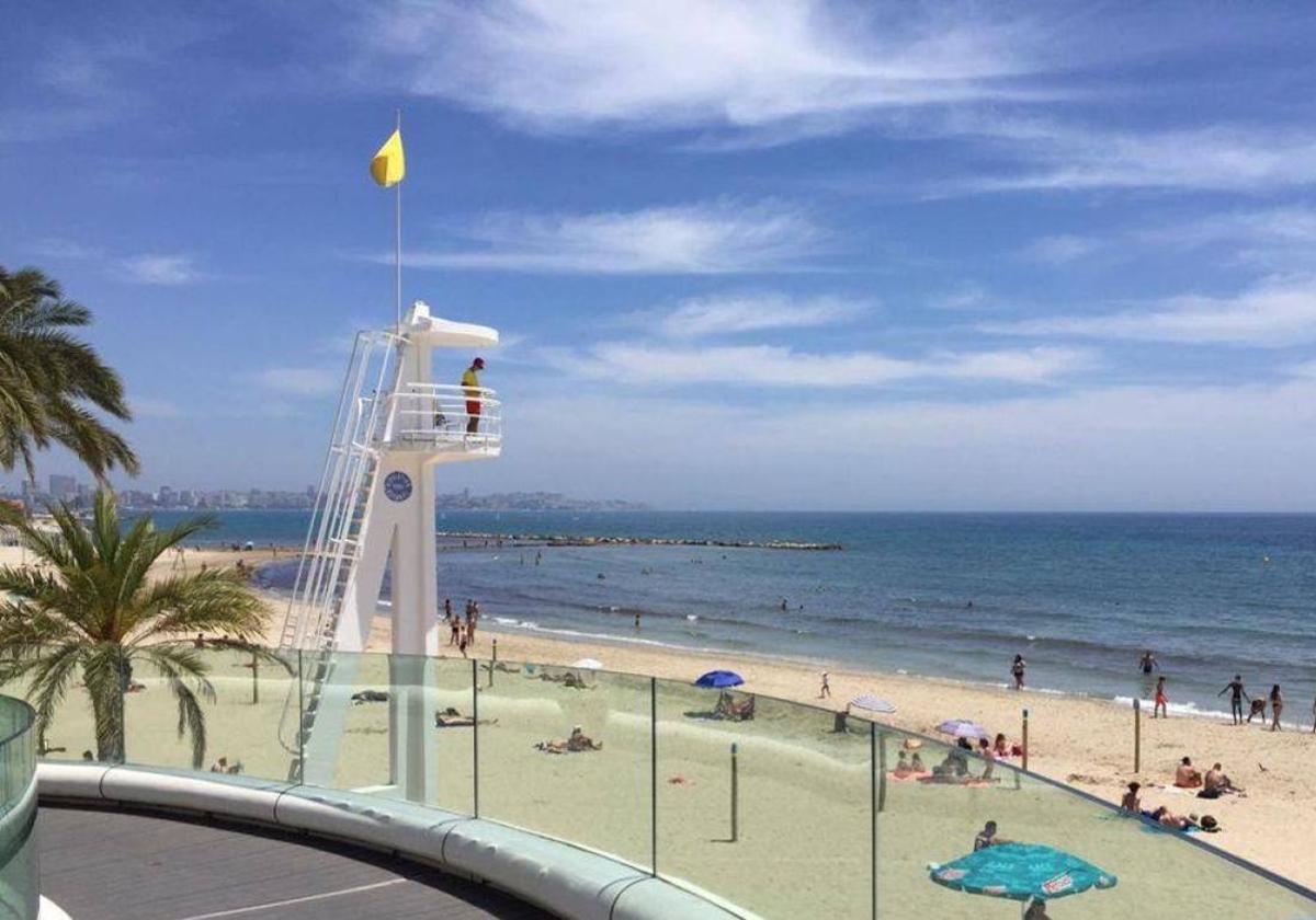 Cómo están hoy las playas de Alicante y Campello: tiempo y bandera 