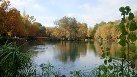 Albufera de Anna.