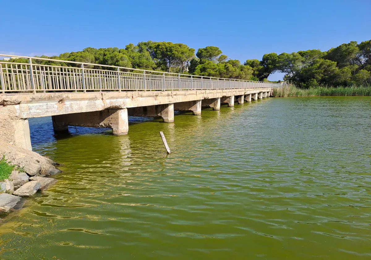 El PSPV llama «cobardes» a Català y Gosálbez por no asumir la gestión de la Junta de Desagüe de la Albufera 