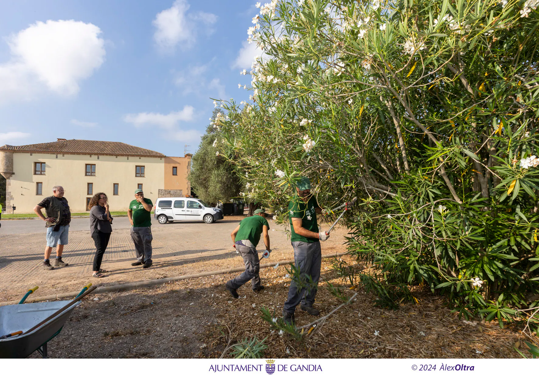 Gandia realiza mantenimiento de las zonas verdes con los trabajadores agrícolas 