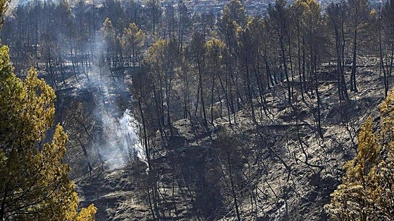 Extinguido el segundo incendio forestal declarado en Penáguila en los últimos diez días
