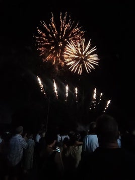 Alzira lanza una alerta para evitar incendios.