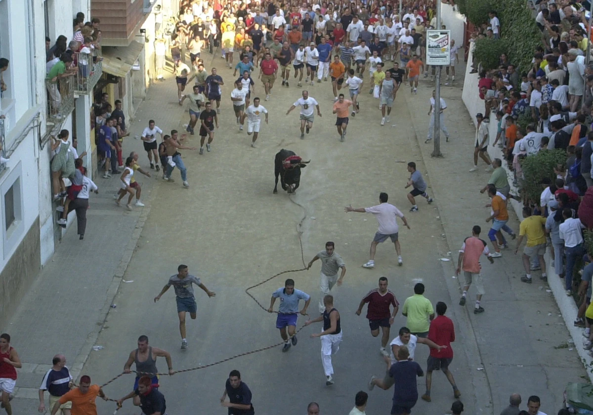 La alcaldesa de Chiva se pone la medalla de conseguir que el Torico se celebre el 17 de agosto 