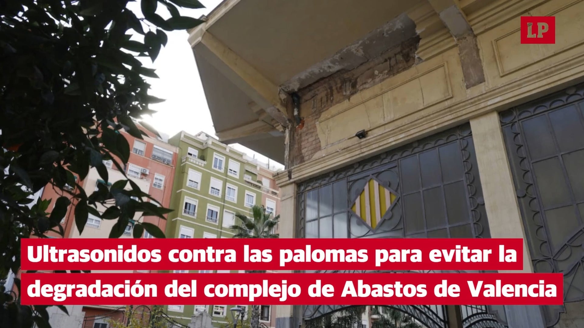 Ultrasonidos contra las palomas para evitar la degradación del complejo de Abastos de Valencia