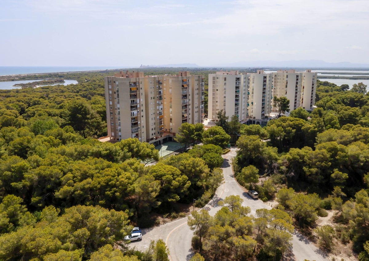 Imagen secundaria 1 - Playa de la Garrofera, con repoblación de dunas; vista de la playa de El Saler y la Albufera y espigón de El Saler que se amplió el pasado año.