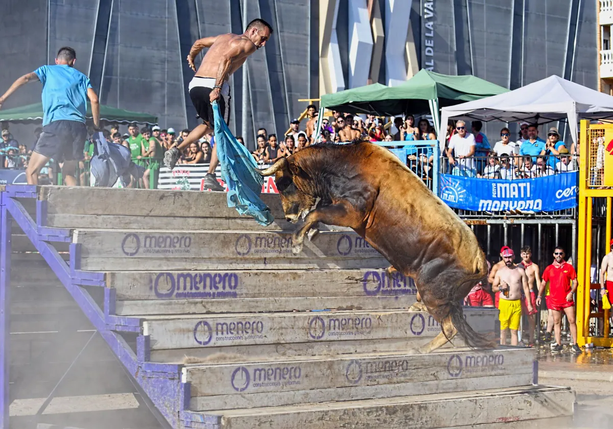 Valenciano, trabajando la pirámide, mejor toro de les Penyes en Festes 2024.