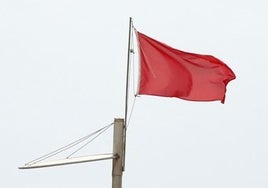 Así están hoy las playas de Valencia: bandera roja en El Perellonet y amarilla en la Malvarrosa, Pinedo y El Saler