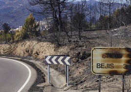 Bejís tras el incendio de 2022.