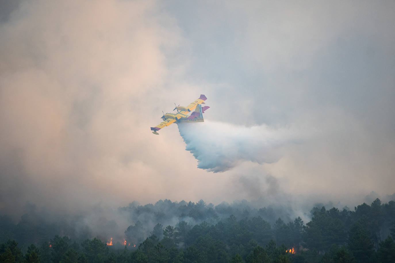 Fotos del incendio forestal de Trabazos, en Zamora