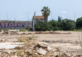 Zona de La Punta en la que se iba a llevar a cabo uno de los proyectos de regeneración de la huerta.