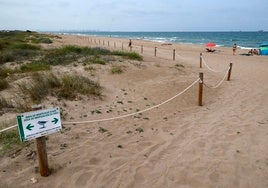 La playa de la Garrofera.