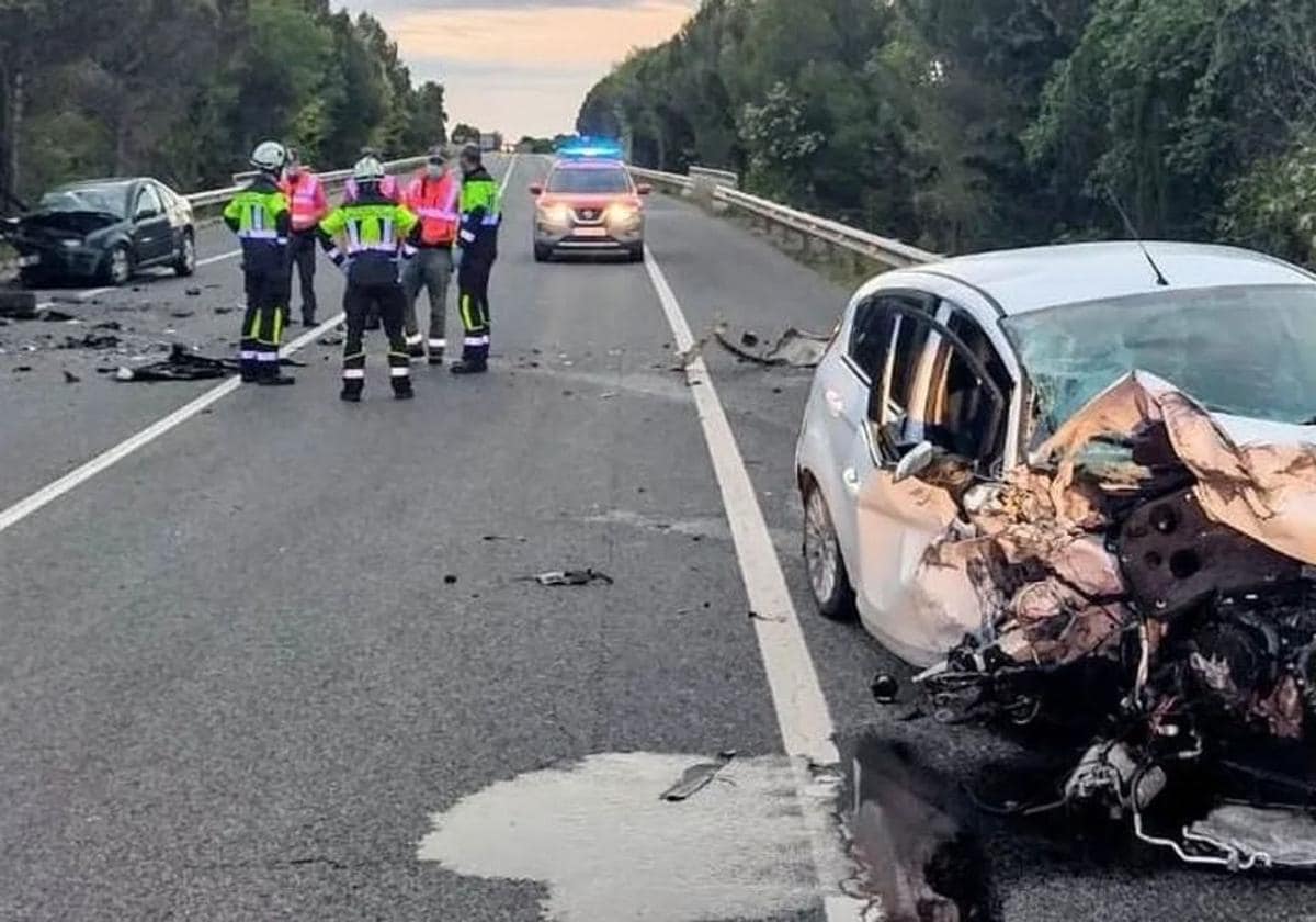 La sobrepoblación de animales salvajes provoca cuatro accidentes de tráfico al día 