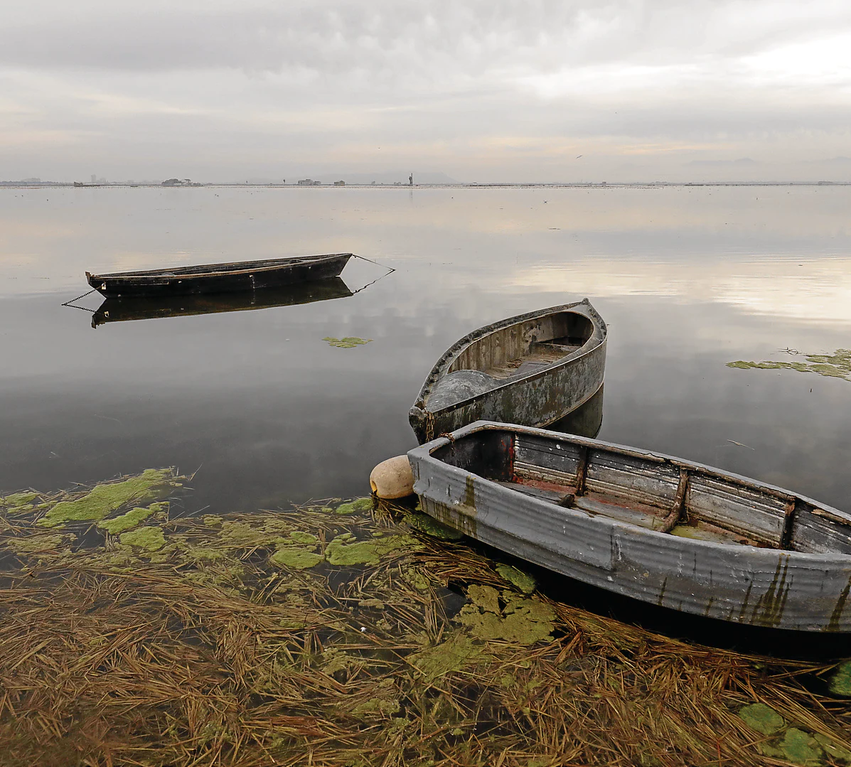 Valencia lleva a Chile la lucha para pedir más inversiones en la Albufera 