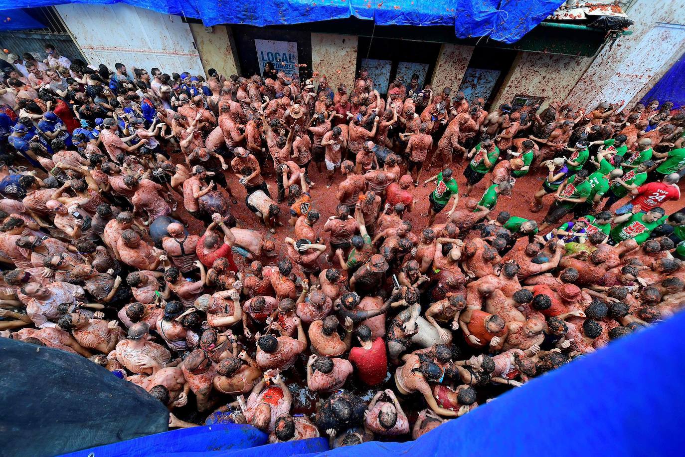 Las mejores imágenes de la Tomatina de Buñol 2024