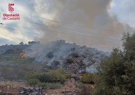 Fuego declarado este jueves en un área forestal de Oropesa.