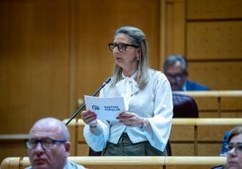 Estela Darocas, durante su intervención en el Senado.