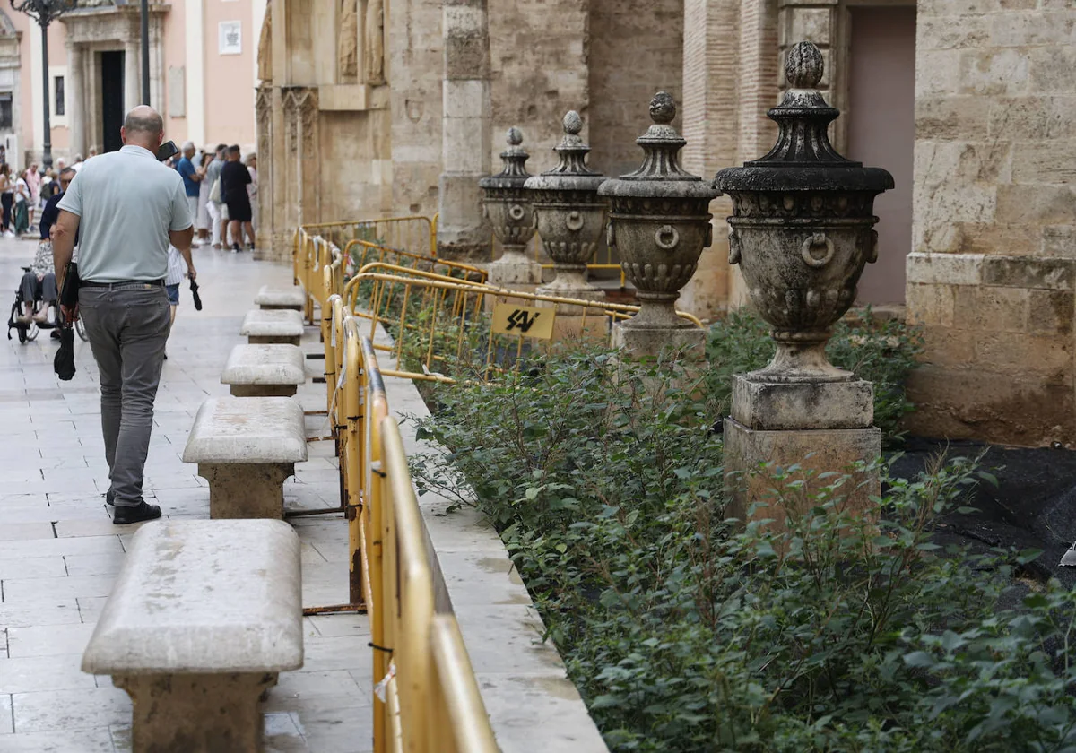 El jardín de la Catedral de Valencia, en el olvido seis meses después de retirarse el arbolado 