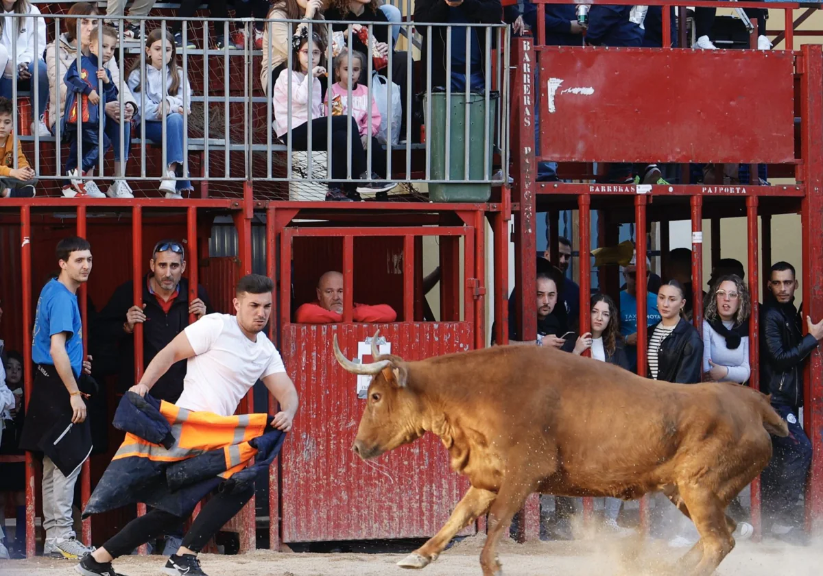 Agenda de los bous al carrer del fin de semana (del 6 al 8 de septiembre) 