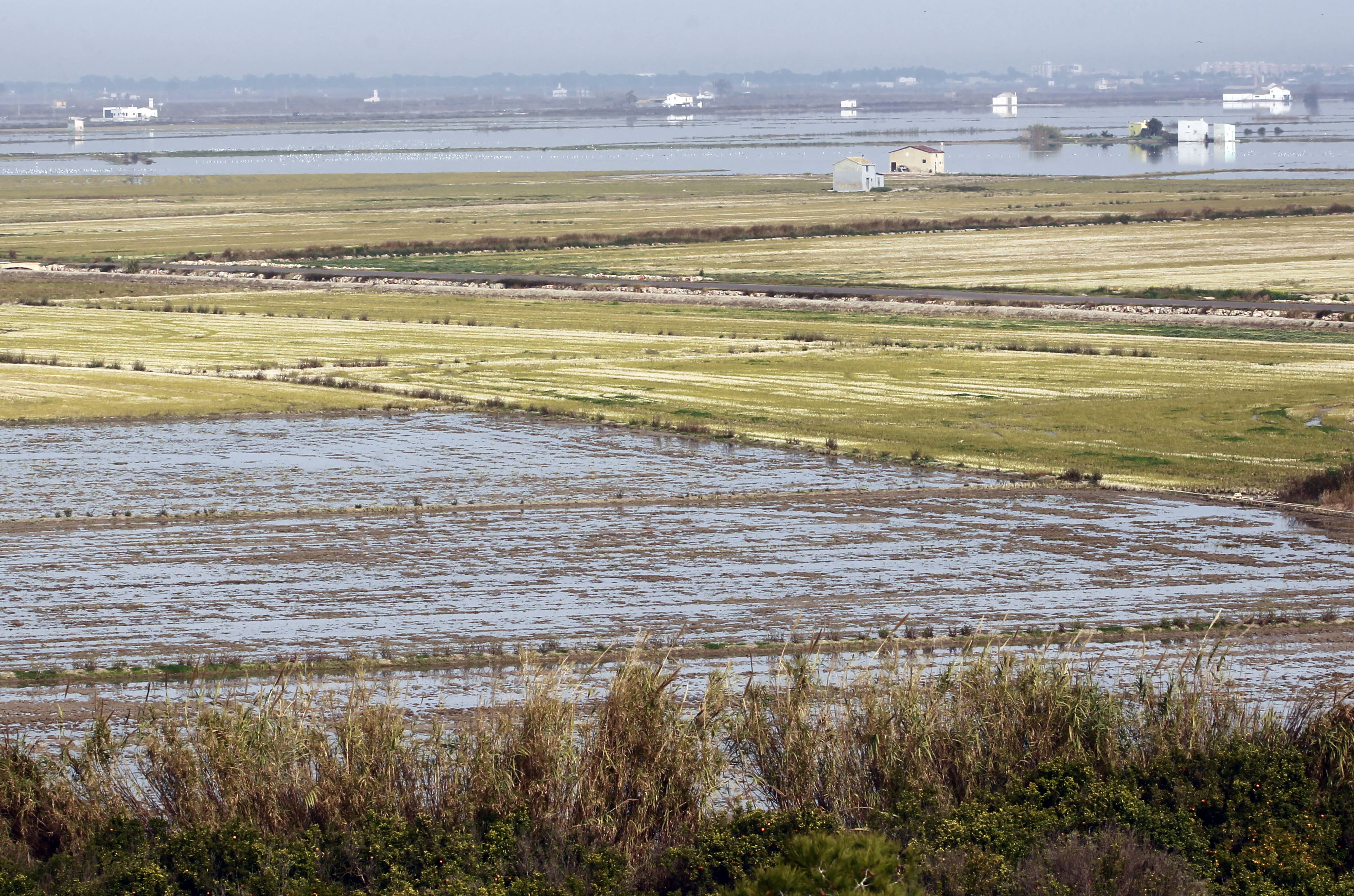 Parque natural de la Albufera.
