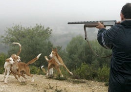 Un cazador con sus perros.