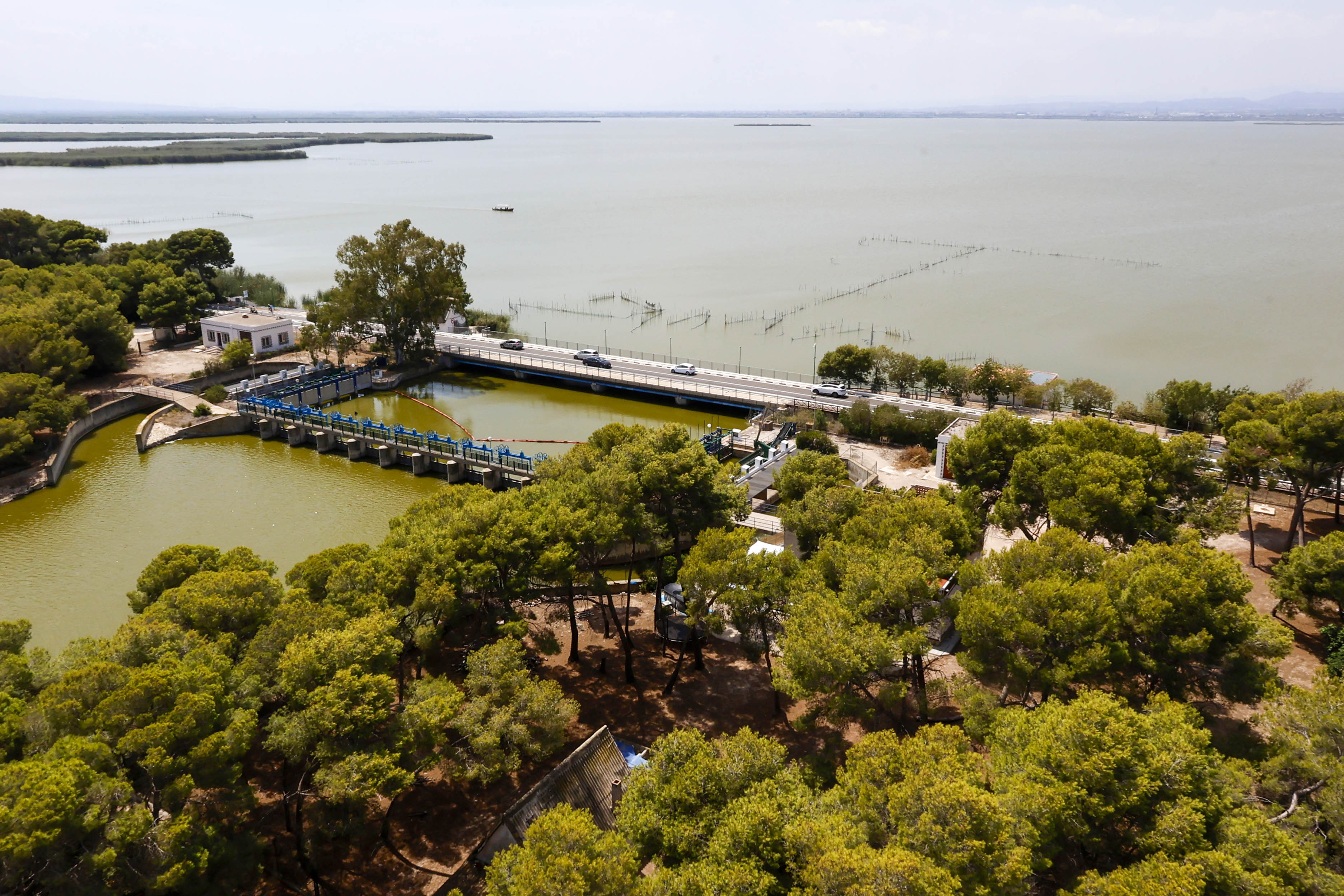 El Consell da el paso y denuncia al Gobierno por no mandar agua a la Albufera 