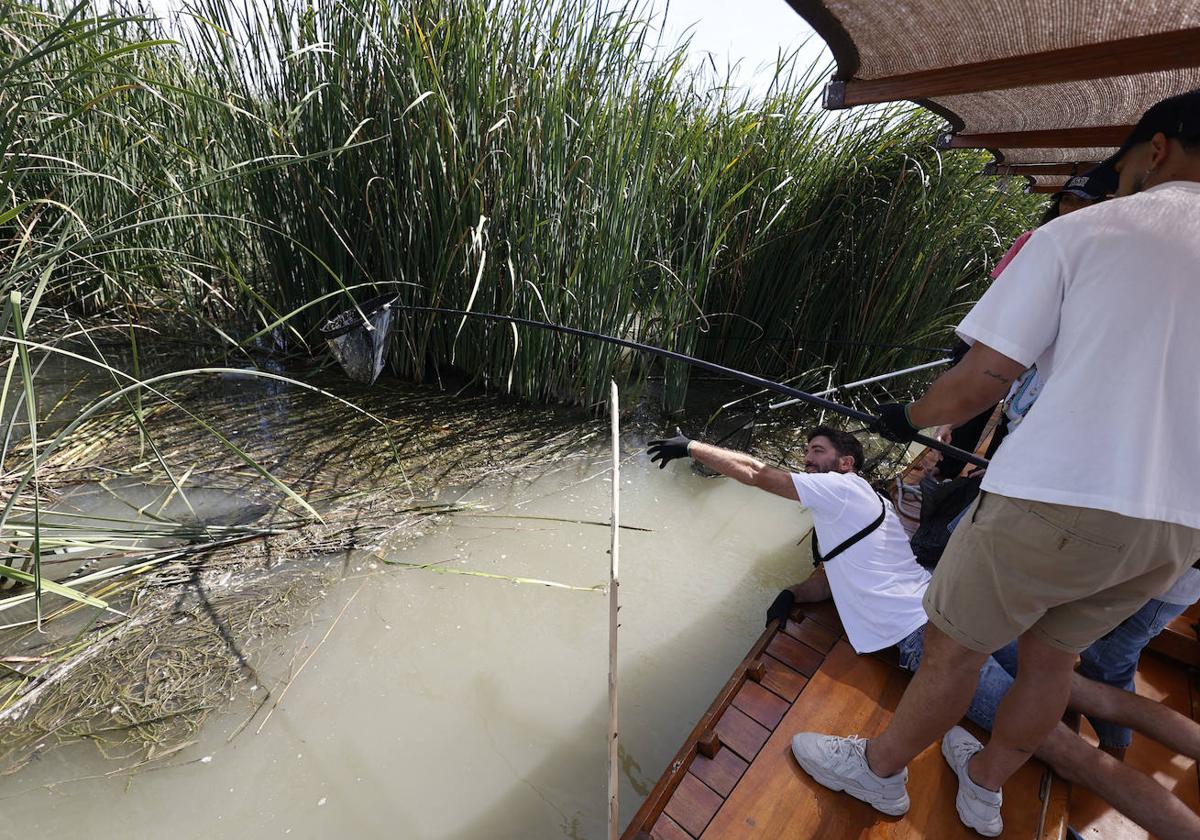 Comienza la limpieza en la Albufera para concienciar en el cuidado del planeta