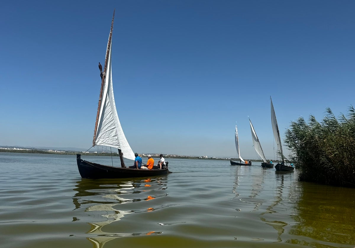 Barcos de vela latina, durante una exhibición.