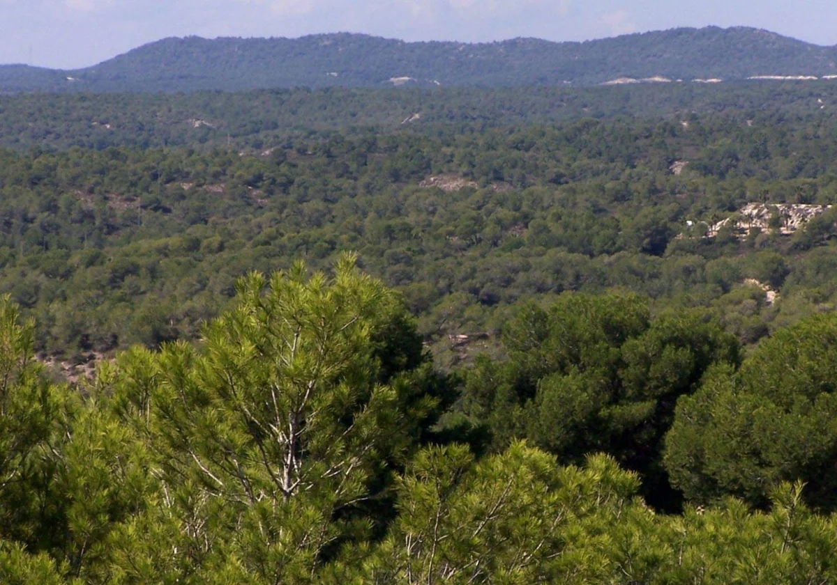 El nuevo parque de la Sierra de Escalona protegerá nueve mil hectáreas 