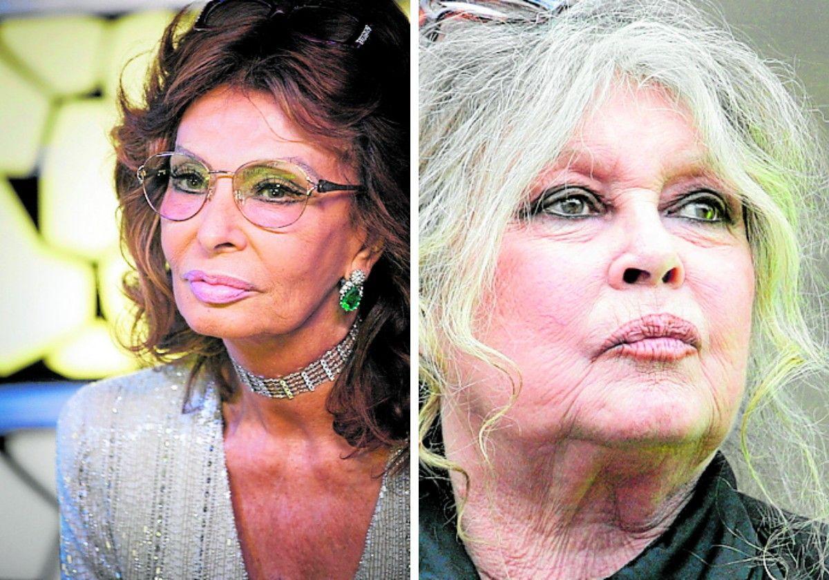 Sofía Loren (arriba) y Brigitte Bardot.