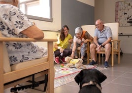 Beneficios de la terapia con animales para los mayores: «Se generan momentos mágicos con las mascotas»