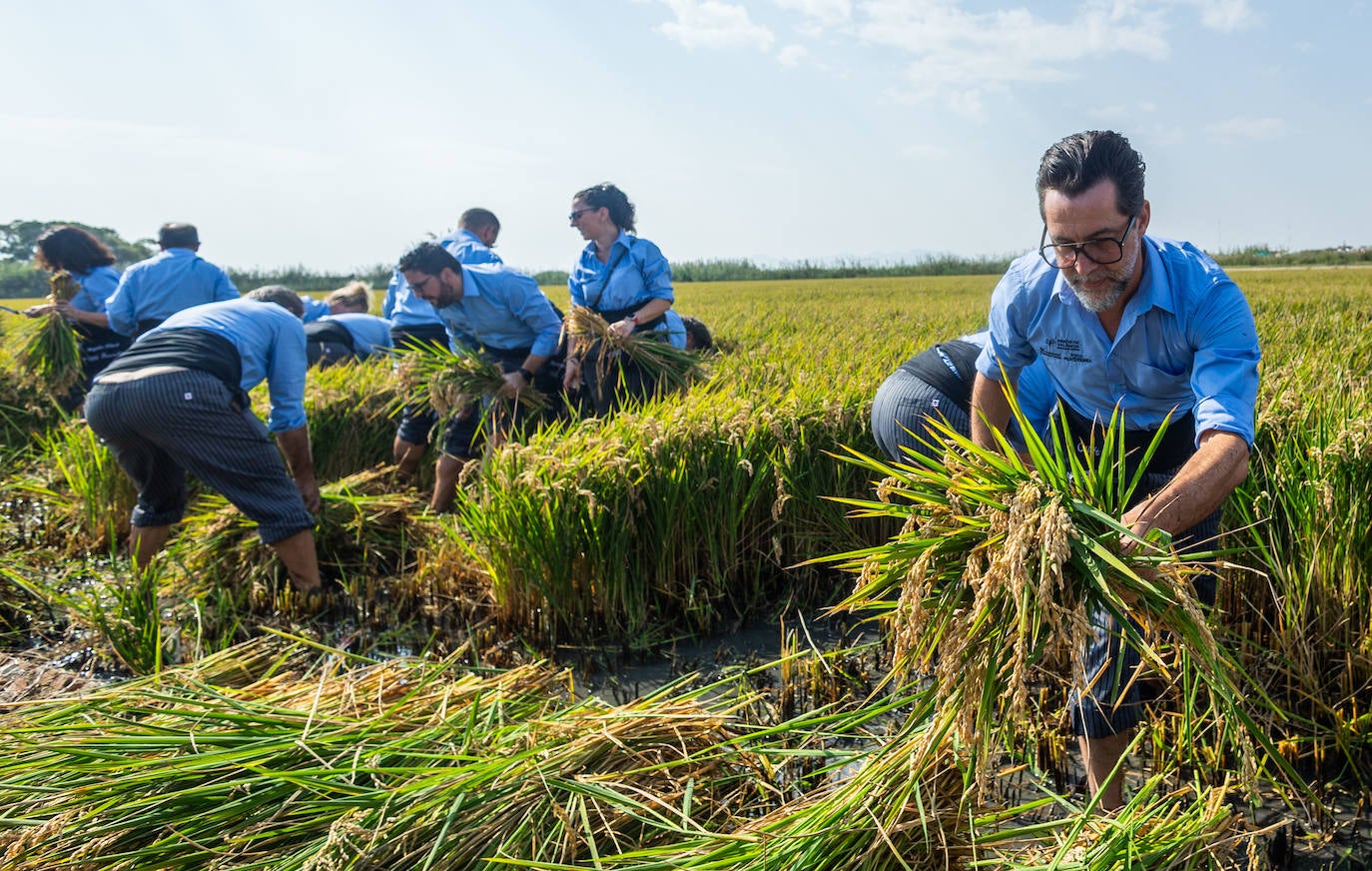 Los mejores chefs de la Comunitat Valenciana cambian los cuchillos por la corbella