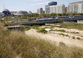 Final de la Alameda y terrenos próximos del Grao.