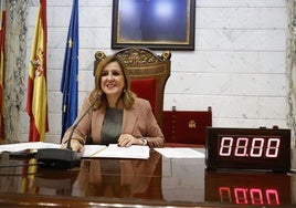 Catalá, durante el pleno del Ayuntamiento de Valencia de este miércoles