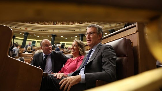 Feijóo, en el Congreso.