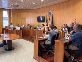 Momento de la votación en el pleno.